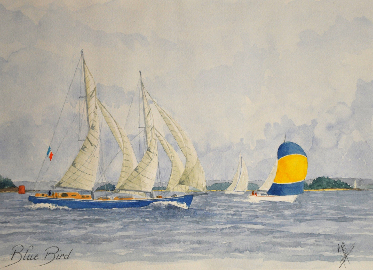 1- Blue Bird entrant dans le golfe