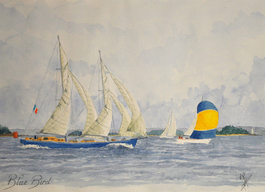 1- Blue Bird entrant dans le golfe