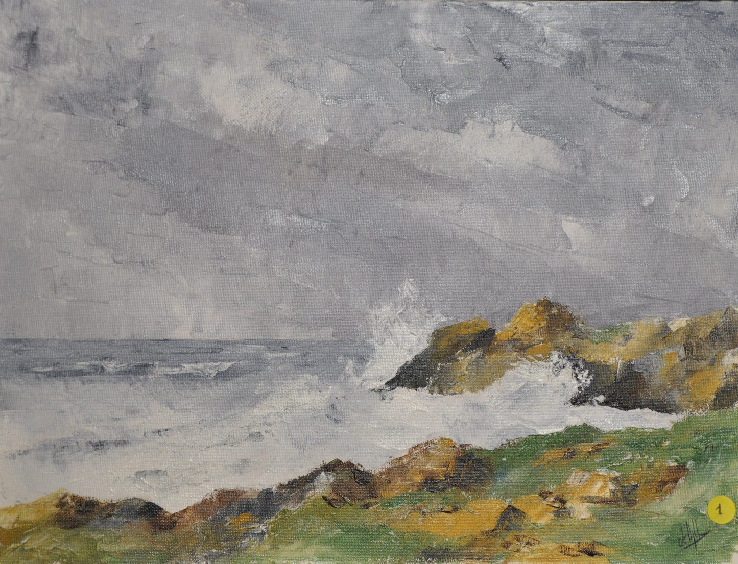 3- Coup de chien sur la côte sauvage I