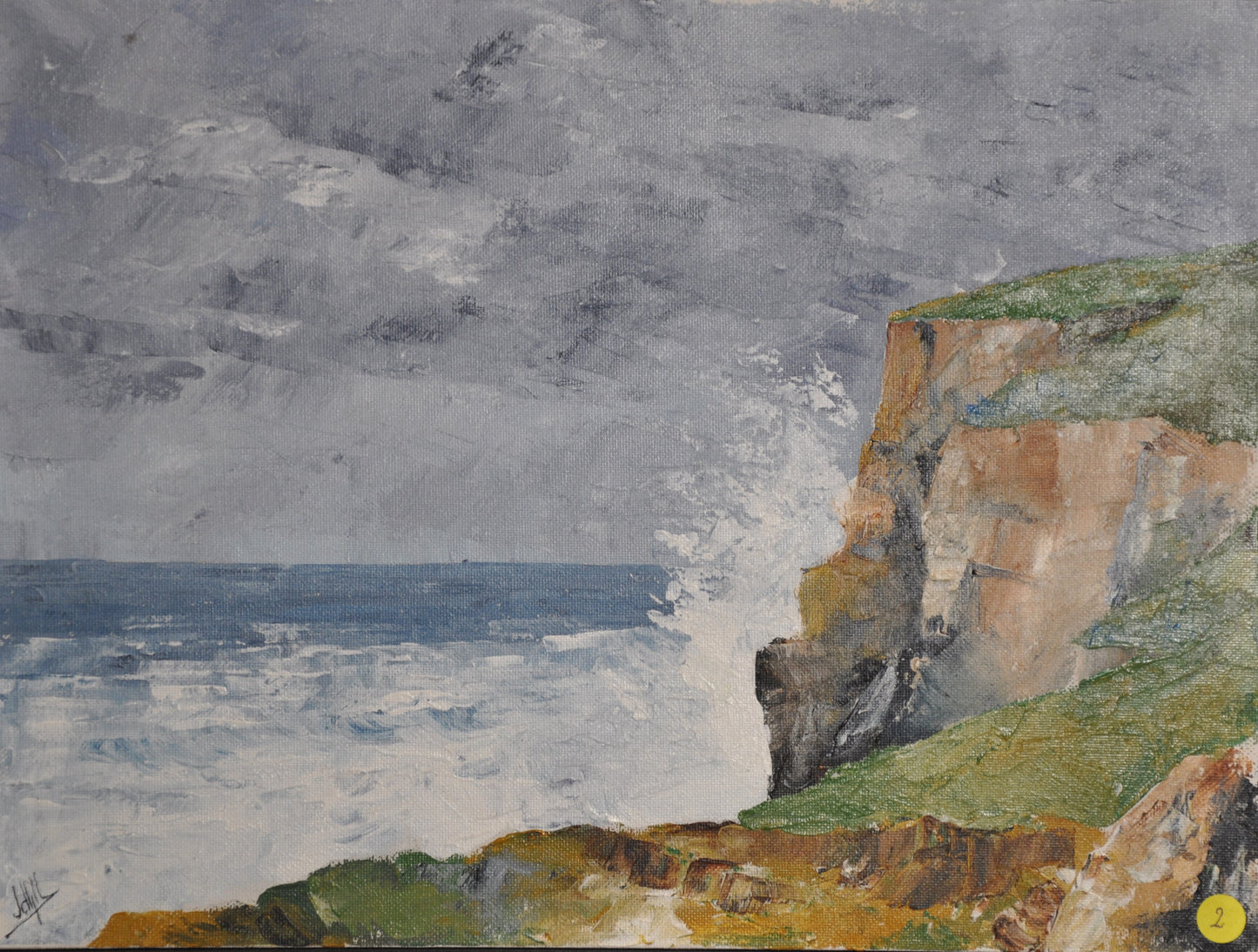 3- Coup de chien sur la côte sauvage II