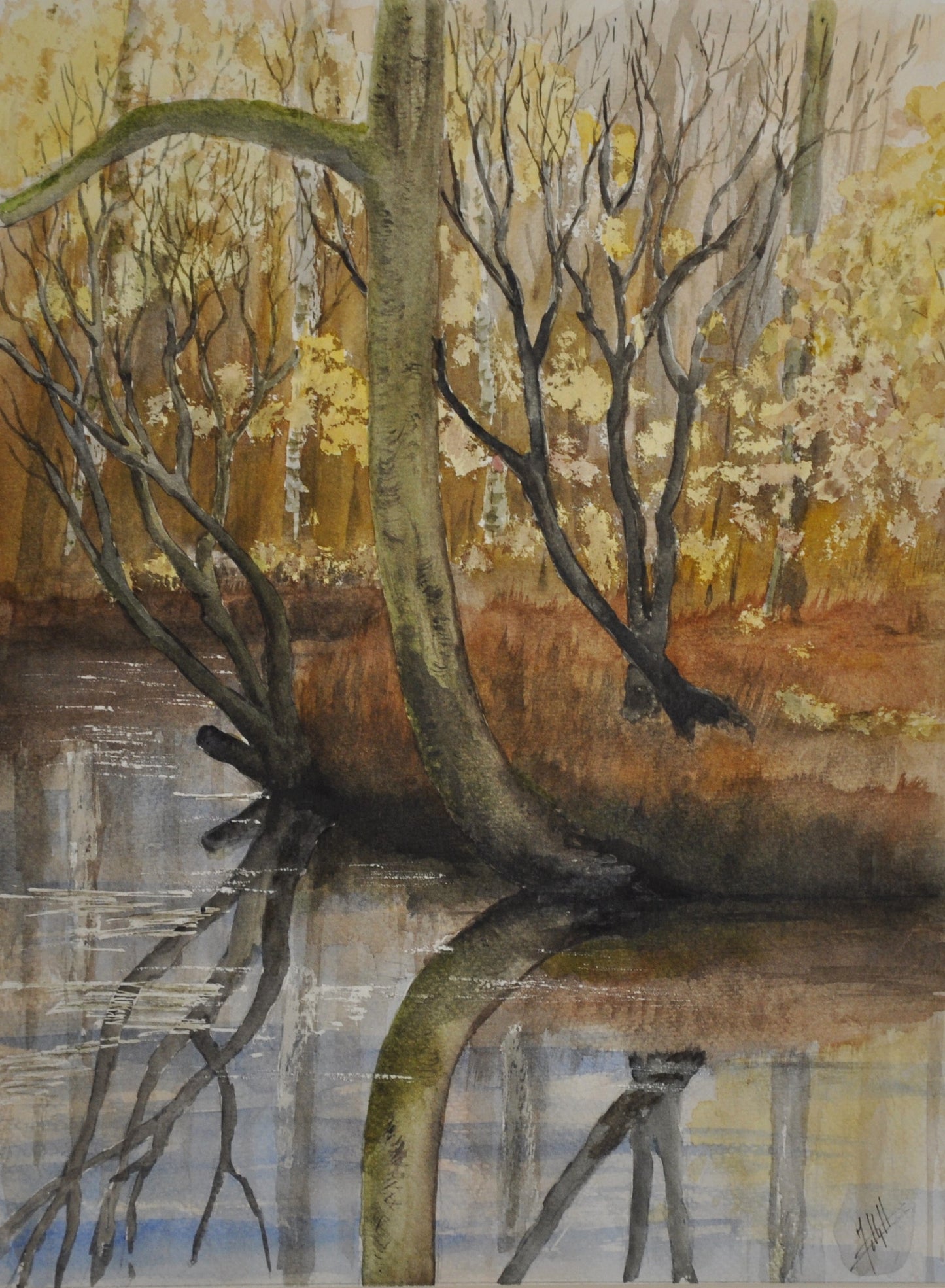 4- La Quincampois à Piré