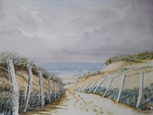 3- Le chemin vers la plage