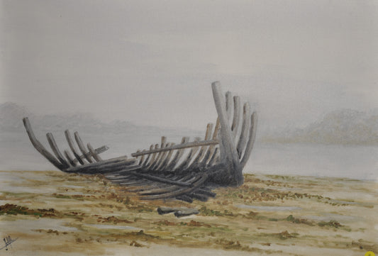 3- Epave sur la plage