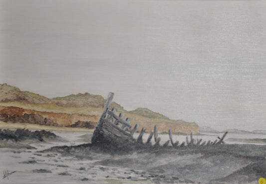 3-Epave sur la vasière